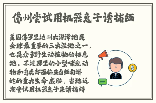 老师您的兔子好软水好多